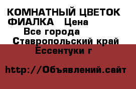 КОМНАТНЫЙ ЦВЕТОК -ФИАЛКА › Цена ­ 1 500 - Все города  »    . Ставропольский край,Ессентуки г.